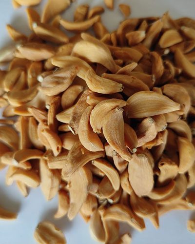 Dehydrated--Garlic-Flake​