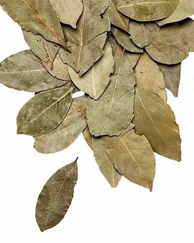 bay-leavs